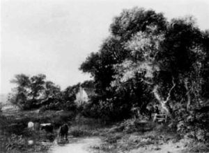 Waldlandschaft