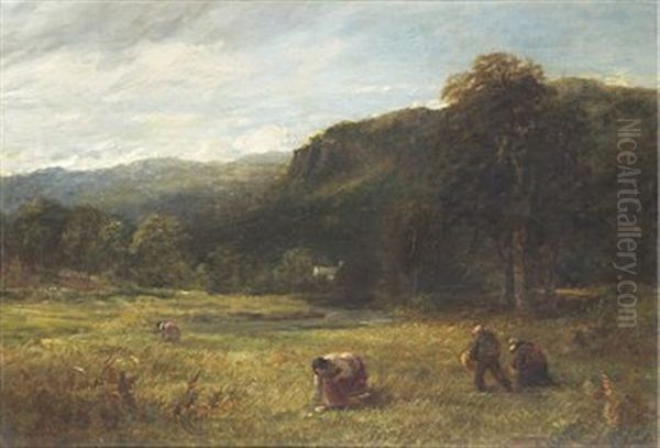 Svampplockarna - view 1