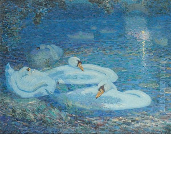 White Swans, Central Park New York City - view 1