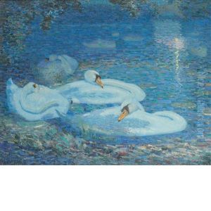 White Swans, Central Park New York City by Albert Scott Cox