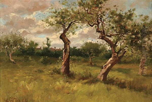 Apple Orchard In Summer - view 1