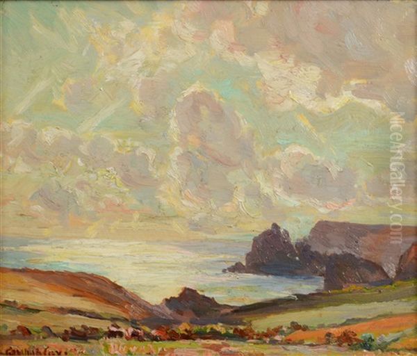 The Lizard Coast - view 1