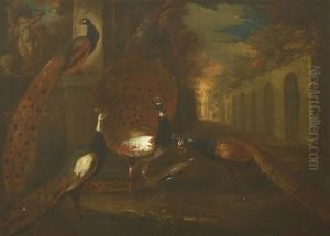 An Ostentation Of Peacocks by Marmaduke Cradock