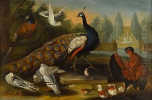A Peacock, A Pheasant, A Cockerel And Other Birds In An Ornamental Garden A Peacock, A Pheasant, A Cockerel And Other Birds In An Ornamental Garden