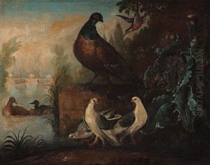 A Hummingbird, A Pheasant, Pigeons And Ducks A Hummingbird, A Pheasant, Pigeons And Ducks
