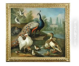 A Peacock And Other Birds Near Water In A Parkland Setting
