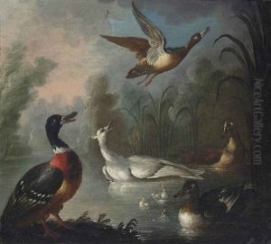 Ducks In A Pond by Marmaduke Cradock