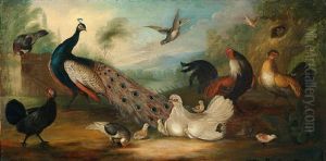 Huhnerhof Mit Einem Pfau Und Anderem Geflugel by Marmaduke Cradock