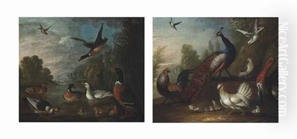A Cockerel, A Peacock, A Turkey, A Hen, Chicks, Pigeons And Other Birds In A Wooded Landscape; Ducks, Ducklings And Other Birds In A River (pair) - view 1
