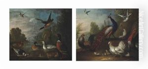 A Cockerel, A Peacock, A Turkey, A Hen, Chicks, Pigeons And Other Birds In A Wooded Landscape; Ducks, Ducklings And Other Birds In A River (pair) A Cockerel, A Peacock, A Turkey, A Hen, Chicks, Pigeons And Other Birds In A Wooded Landscape; Ducks, Ducklings And Other Birds In A River (pair)