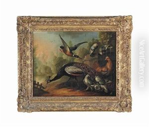 A Peacock, A Duck And Other Birds By Fence, A Pond Beyond