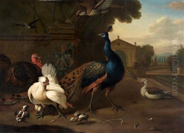 Paon, Dindons Et Poules Dans Le Parc D'un Palais Classique - view 1