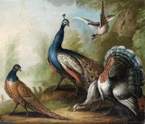 A Peacock, Pheasant, Turkey And Jay By A River by Marmaduke Cradock