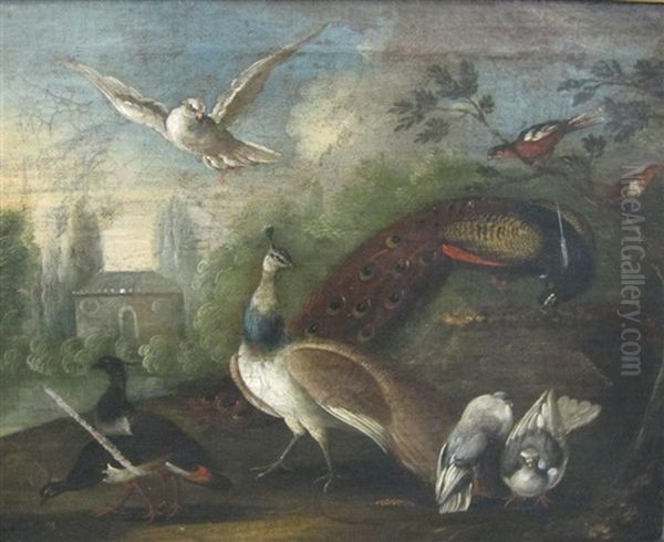 A Peacock And Wildfowl In A Parkland Setting - view 1