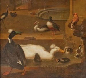 Canards Et Aigrettes Dans Un Parc Canards Et Aigrettes Dans Un Parc