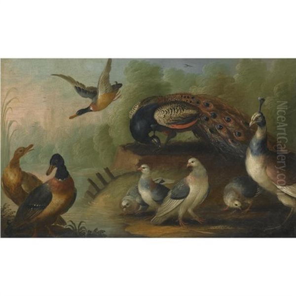 A River Landscape With A Peacock And A Peahen, Mallards And Other Birds - view 1