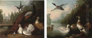 A Peacock, A Dove And Chickens In A Landscape, A Fountain Beyond (+ A River Landscape With Ducks; Pair)