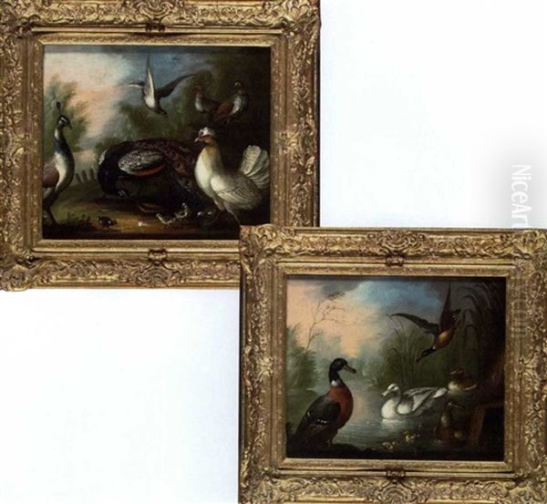 Peacocks, Poultry And Doves In A Wooded Landscape (+ Ducks In A River Landscape; Pair) - view 1