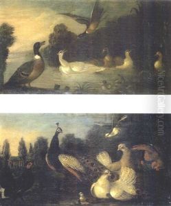Canards Dans La Mare (+ Paon Et Autres Oiseaux Dans Un Parc; Pair)