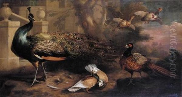 An Assembly Of Fowl, Including A Peacock, Pigeons, Pheasant And Partridges - view 1