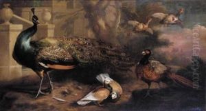 An Assembly Of Fowl, Including A Peacock, Pigeons, Pheasant And Partridges