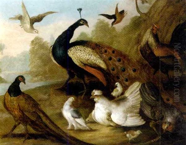 A Peacock, Pheasant, Hen, A Dove And Other Fowl In A River Landscape - view 1