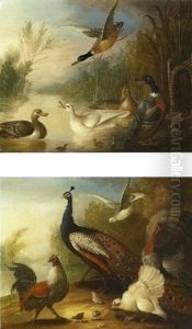 Ducks On A River