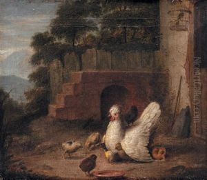 A Silver Houdon Hen With Chicks