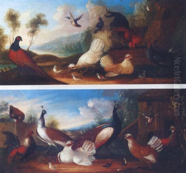 Assembly Of Fowl - view 1