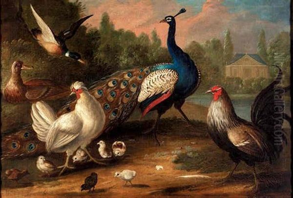 A Peacock, A Chicken And A Hen With Her Chicks, And Two Ducks In A Landscape, A House Beyond - view 1