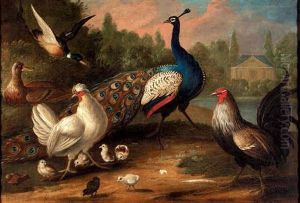 A Peacock, A Chicken And A Hen With Her Chicks, And Two Ducks In A Landscape, A House Beyond
