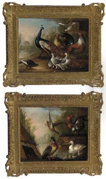 Ducks And Chickens By A River - view 1