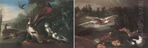Assembly Of Fowl by Marmaduke Cradock