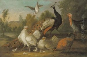 A Peacock And Other Fowl In A Landscape With A House Beyond