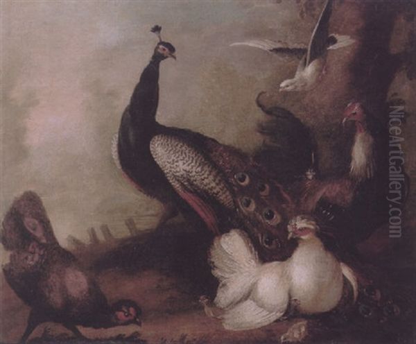 A Concert Of Birds, Including A Peacock, Doves And Fancy Fowl - view 1