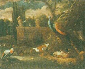 Decorative Fowl In A Parkland