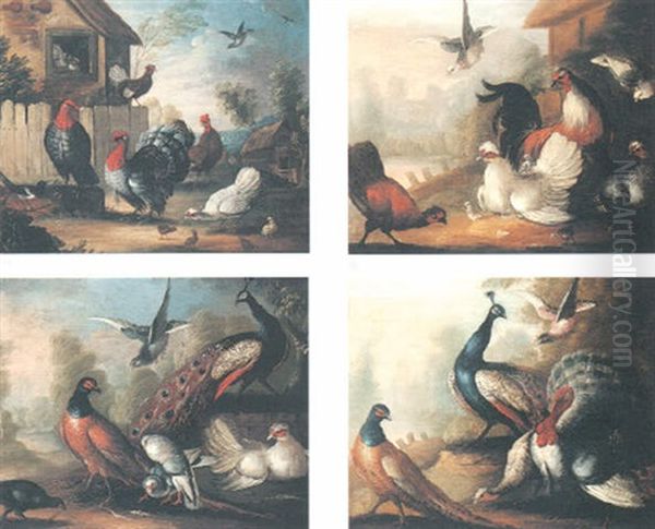 Exotic Fowl In Landscapes - view 1