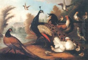 Exotic Fowl By A Lake In A Landscape