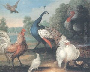 A Peacock And A Lavender Turkey With Other Fowl In A River Landscape by Marmaduke Cradock