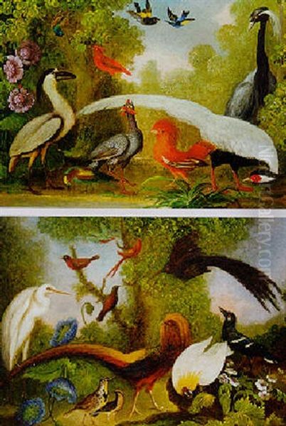 Oiseaux Exotiques Dans Un Paysage - view 1