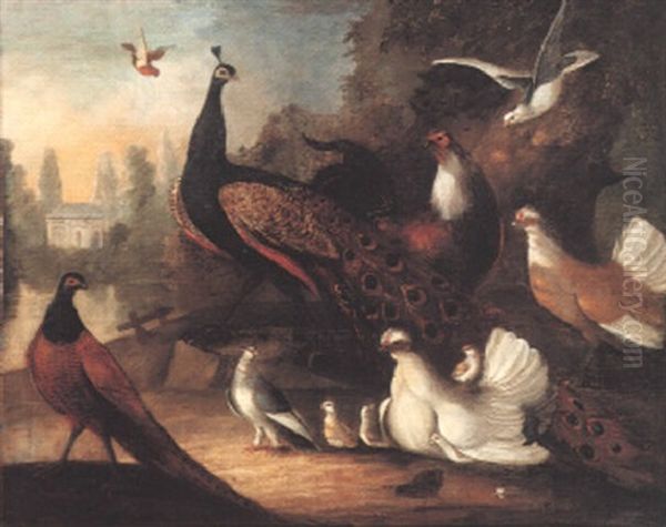 Exotic Birds In Landscapes - view 1
