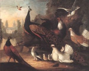 Exotic Birds In Landscapes