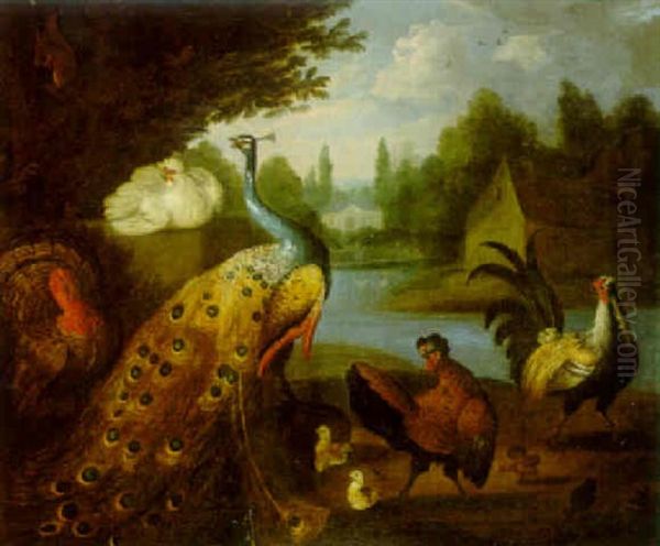 Exotic Birds In A Landscape - view 1