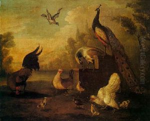 Exotic Fowl In A Landscape