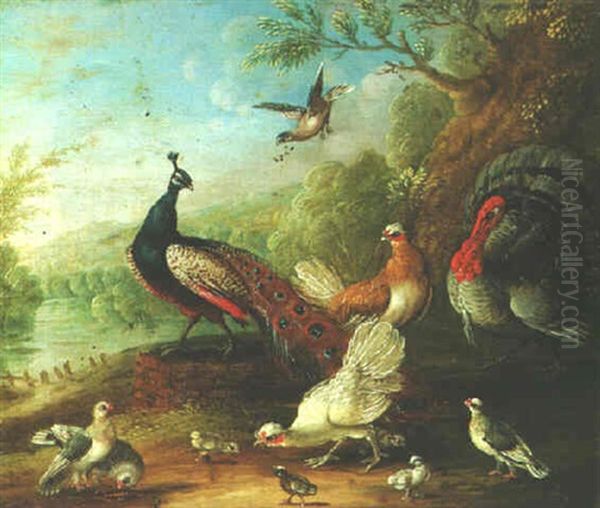 Exotic Fowl In A Landscape - view 1