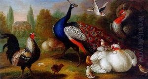 A Peacock, A Turkey, Chickens And Other Birds In A Park




A Peacock, A Turkey, Chickens And Others Birds In A Park by Marmaduke Cradock