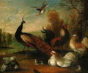 A Peacock With Cockerel And Other Birds In A Park Landscape