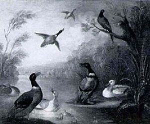 A Mallard Duck And Chicks On A River With Pheasnats Flying Overhead