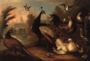 A Peacock, Pheasant, Partridges And Other Birds In A Landscape By A Lake