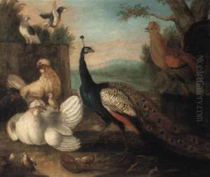 Exotic Fowl In A Landscape